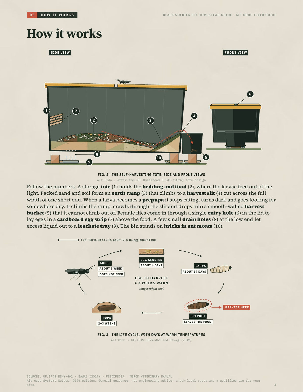 Black Soldier Fly Homestead Guide: Raise larvae on kitchen scraps for chicken feed · Alt Ordo Systems Guide: inside pages