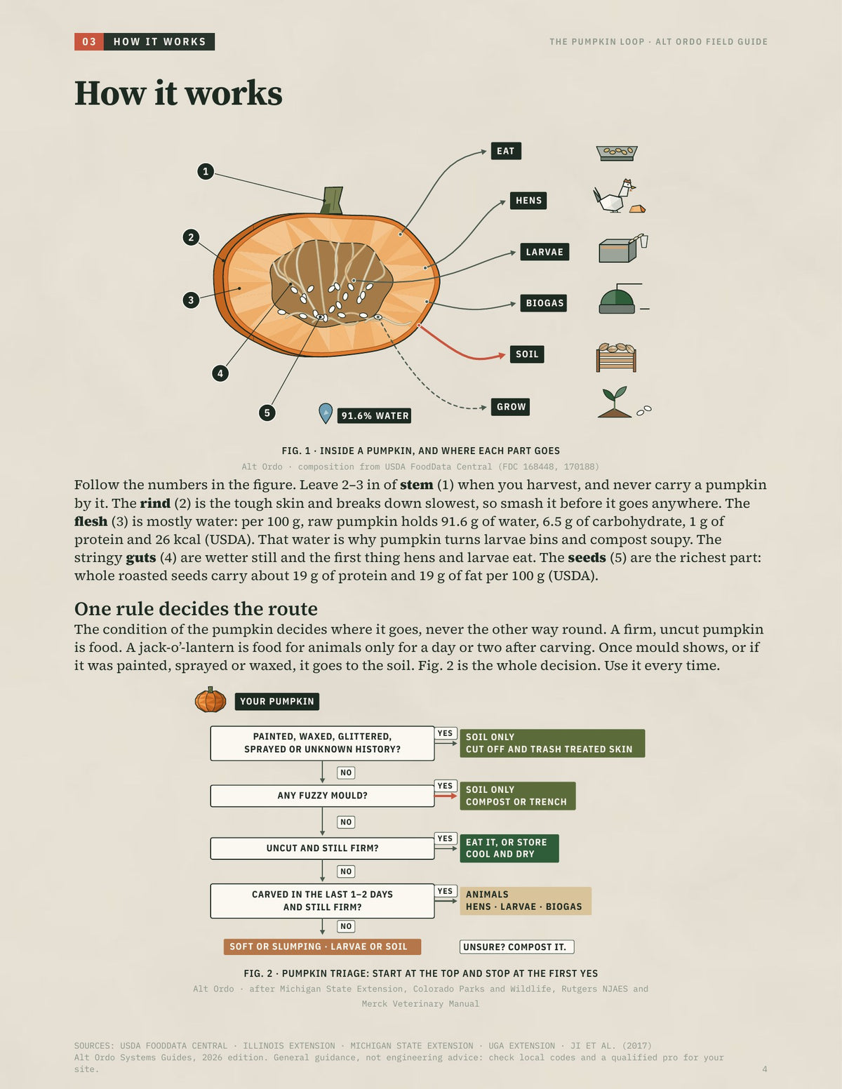 The Pumpkin Loop: Turn Halloween pumpkins into eggs, fuel and soil · Alt Ordo Systems Guide: inside pages