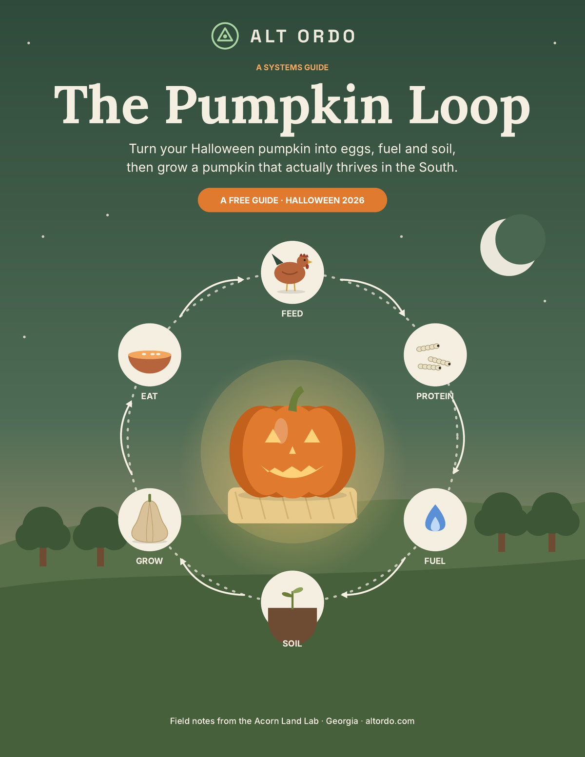 The Pumpkin Loop (FREE PDF Guide): Turn Halloween Pumpkins Into Eggs, Fuel & Soil