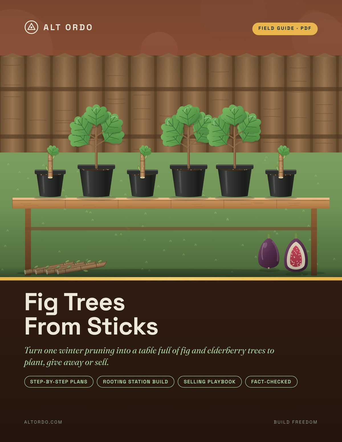Fig Trees From Sticks (PDF): Root Fig & Elderberry Cuttings, Grow & Sell Trees